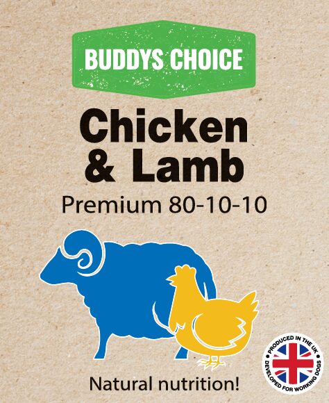 BUDDYS CHOICE CHICKEN & LAMB 12 X 454G