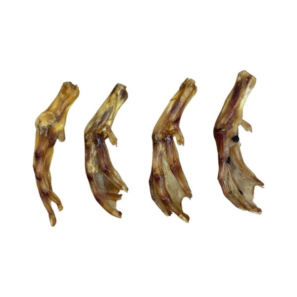 DUCK FEET