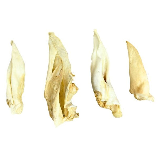 LAMB EARS