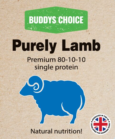 BUDDYS CHOICE PURELY LAMB 12 X 454G