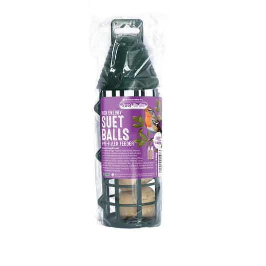 Filled Suet Ball Feeder - Insect