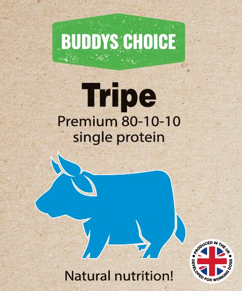BUDDYS CHOICE PURELY TRIPE 12 X 454G