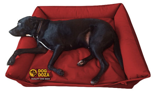 Waterproof Sofa Bed