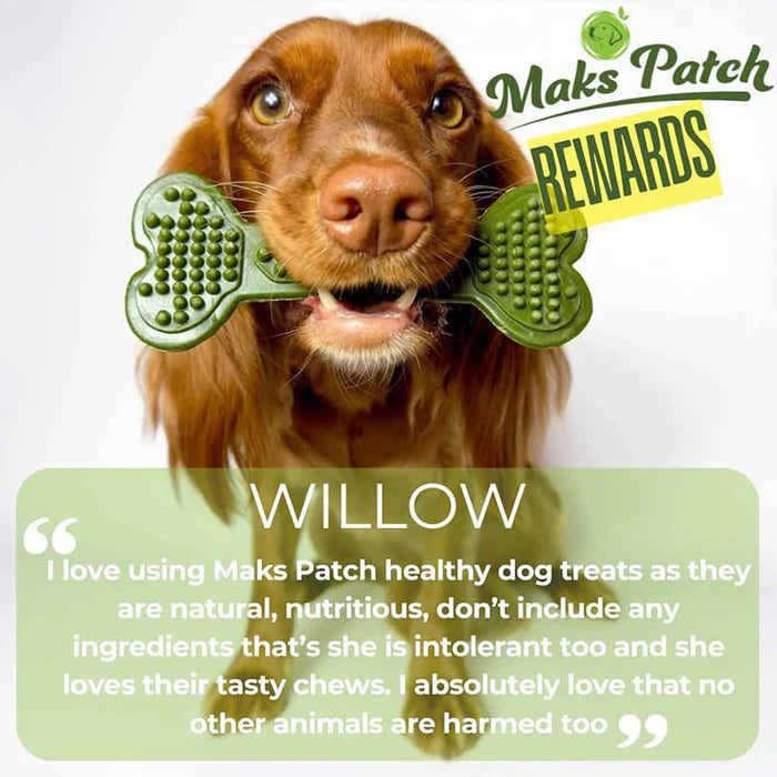 Vegan Dog Chews - the Maks Patch 'BumpiBone'